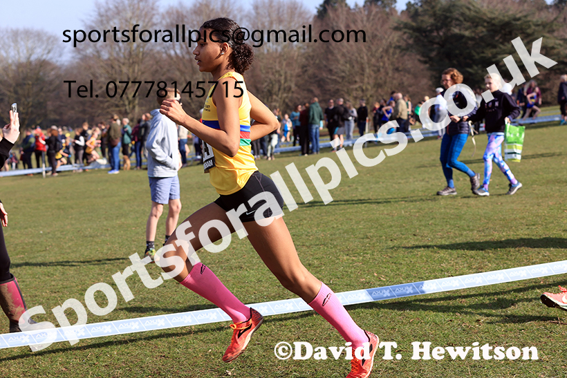 Girls under-13s 2025 UK CAU Inter Counties Cross Country Champs., Wollaton Park, Nottingham. Photo: David T. Hewitson/Sports for All Pics